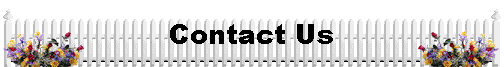 Contact Us